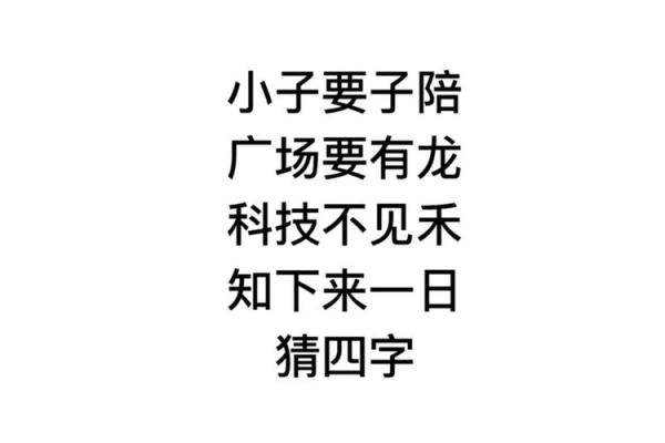 巧妙字谜启示，成语揭晓之旅