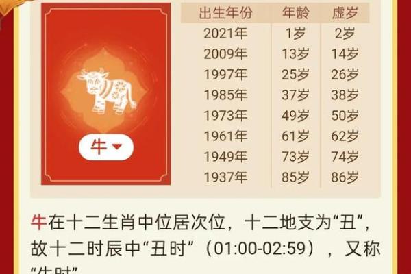 91年腊月十二的命运与人生启示