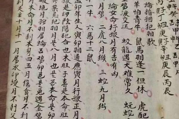 91年腊月十二的命运与人生启示