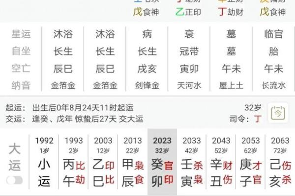 84年老鼠命格分析：掌握命运与运势的秘密！