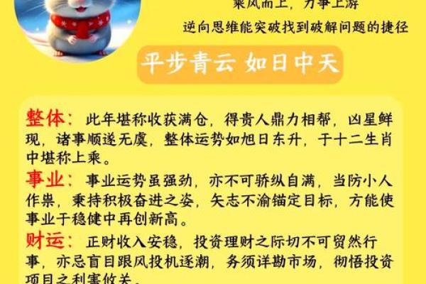 探索72年鼠的命理特征与运势解析