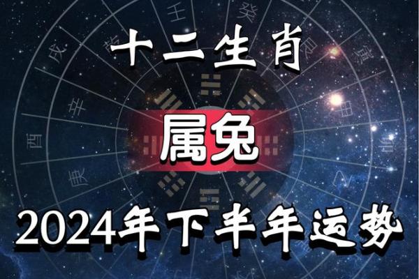 属兔2011年木命的出彩人生：解密他们的独特魅力与机遇
