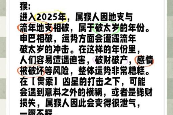 申猴金命人适合从事的行业与发展建议