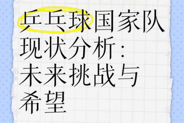 2003年出生的人命运解析：未来的希望与挑战