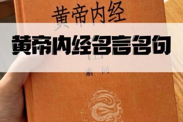 手背青筋凸起的奥秘：揭示你的命运与健康之道