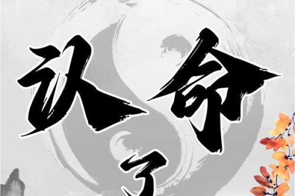 探索命理的智慧：让生命更具意义的启示
