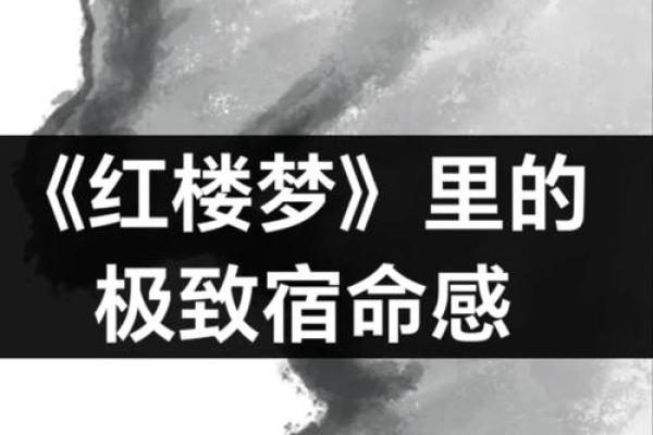 探索黛玉命：宿命与人性的深邃交织