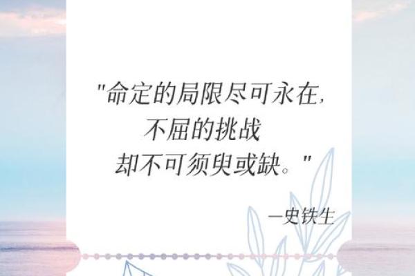 命如针：探寻生命的脆弱与坚韧之美