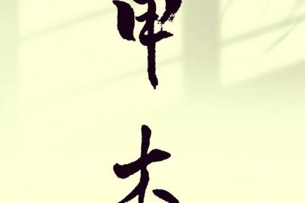 探秘石榴木命：天赋与性格的独特结合