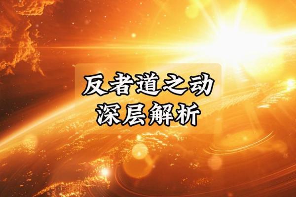 生死搏命：探寻武学中的生存与智慧之道