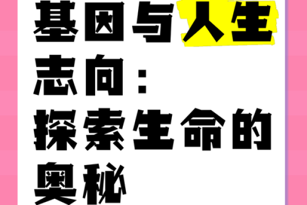 深命的奥秘与解析：揭示人生的深层意义与价值