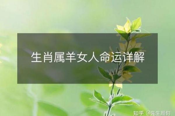 属羊女的命运与时辰解析：揭秘不同时辰的命格秘密