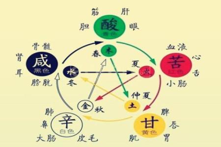 95年出生的你，五行命理与运势的秘密！