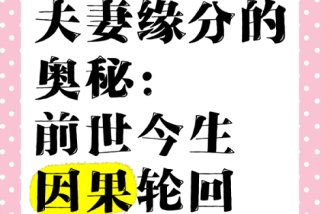 命里情感纠葛：爱与缘分间的纠缠与解脱