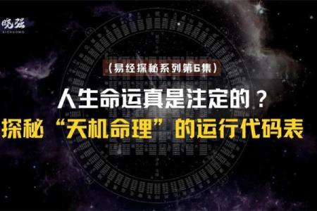 从年份解读命运：如何通过出生年份洞察人生轨迹