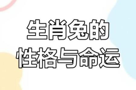 2023年运势大解析：属兔之人该如何把握命运？