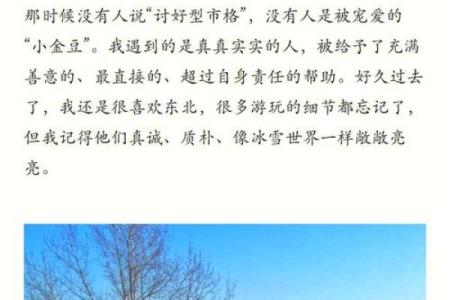 1998年12月：冬季的温暖与回忆之旅