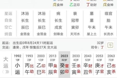 84年老鼠命格分析：掌握命运与运势的秘密！