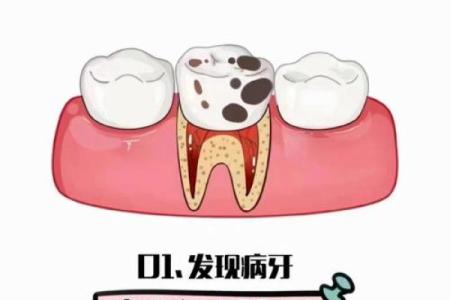 32颗牙齿的命运：揭示口腔健康与人生运势的奥秘