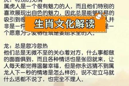 2023年82岁属什么命：探索老年人的生肖命理与人生智慧
