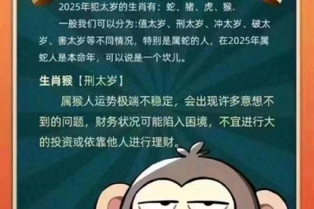 2016年属猴人的命理解析与运势分析，揭示成功与幸福的关键秘诀！