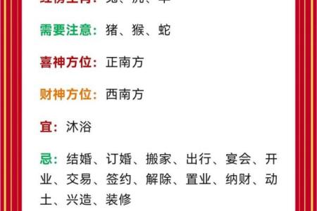 属兔2011年木命的出彩人生：解密他们的独特魅力与机遇