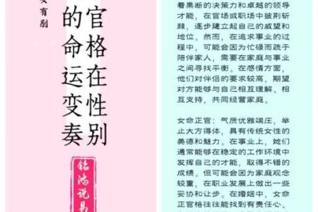 探秘乙酉年乙酉月命运：人与命理的神秘交织