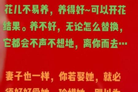 爱她如命：爱的极致表达与感知