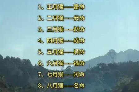 属猴2020年命运解析：机遇与挑战并存的关键一年