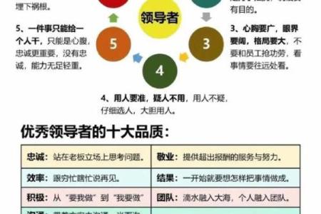 解析成功人士的共性特征：从优秀到卓越的秘密之道