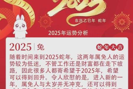 2023年，兔年运势解析：如何抓住属于你的好运气