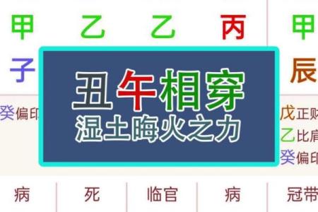 丁丑丙午辛丑甲午命解析：命理与人生的深刻关联
