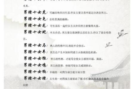 2007年属猪女性的命运解析：如何在生活中把握机会与挑战