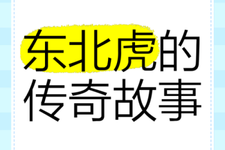 62年出生的虎：命理与人生的探索之旅