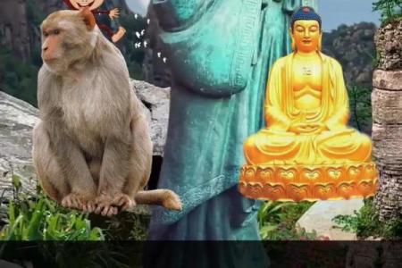 2016年火猴命：如何弥补命理上的不足，创造美好生活