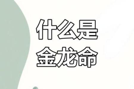 金龙命的神秘面纱：探索其独特的寓意与影响力