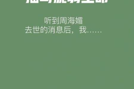 命如针：探寻生命的脆弱与坚韧之美