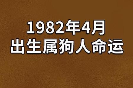 探索1966年11月出生者的命运与人生旅程
