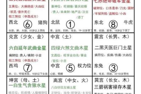 癸卯年正月的命理解析：如何把握命运的转机与机遇