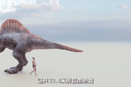 探索恐龙世界：揭秘史上最长的恐龙与其生存奥秘