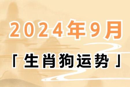 40岁属狗人的命运解读：忠诚与智慧的结合
