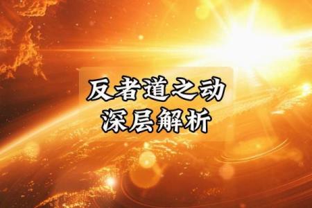 生死搏命：探寻武学中的生存与智慧之道