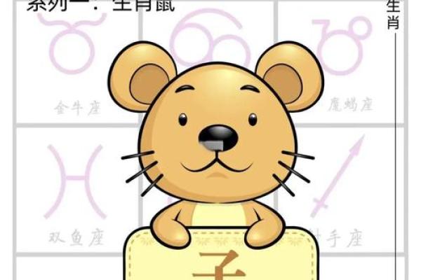 属鼠命运解析：星座与命理的奇妙关联