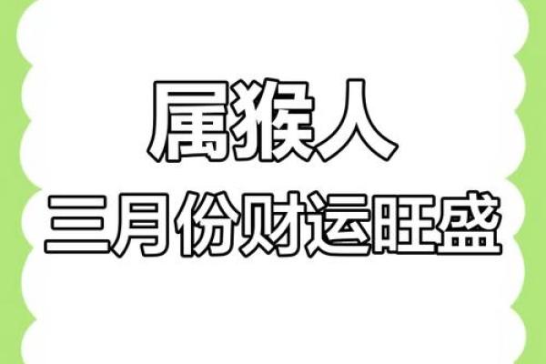 探寻属猴命格与合适颜色的奥秘，提升运势的新时尚