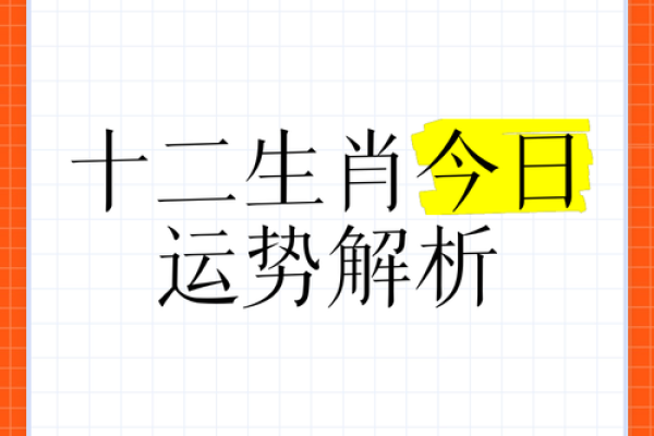探讨1996年出生的生肖运势与命理分析：解析命运密码