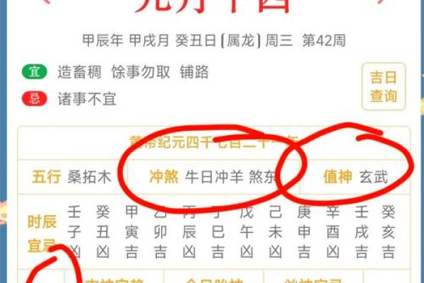 周公算命：属鸡人恰逢何命格，如何把握人生机遇？