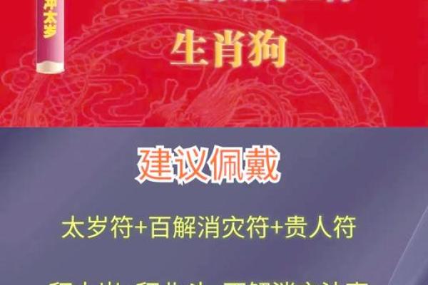 农历70年属狗的命运解析与生活指导