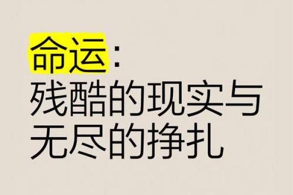 从旺夫命到损夫命：女人命运的转变与内心挣扎