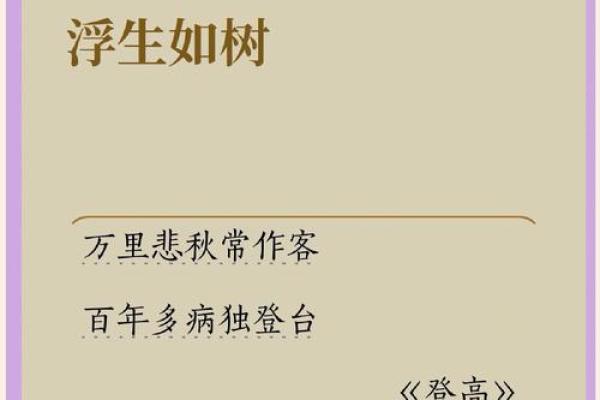 从旺夫命到损夫命：女人命运的转变与内心挣扎