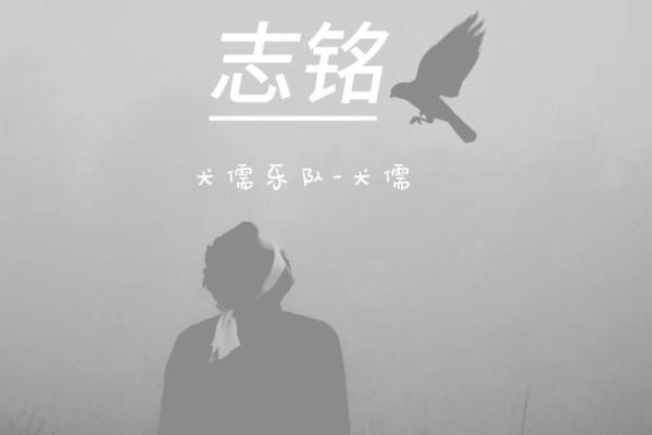 贱命：探寻生命的珍贵与流失背后的意义
